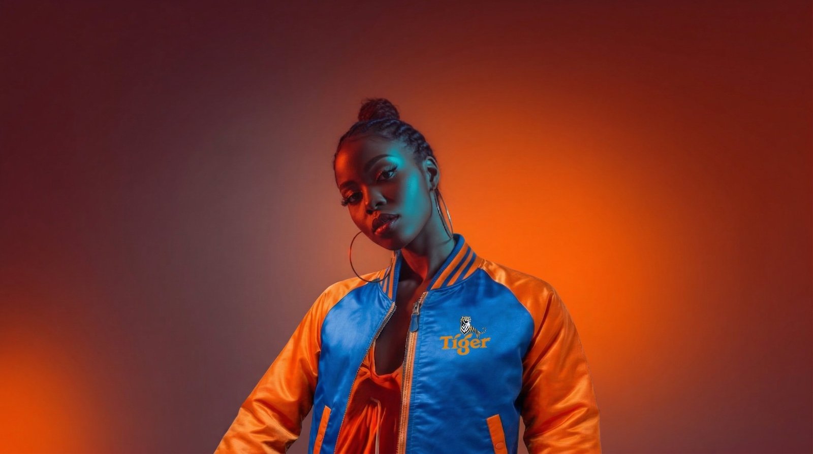 Tiger bomber on model — editorial wide